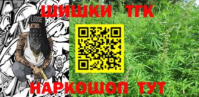 прущие грибы Можга
