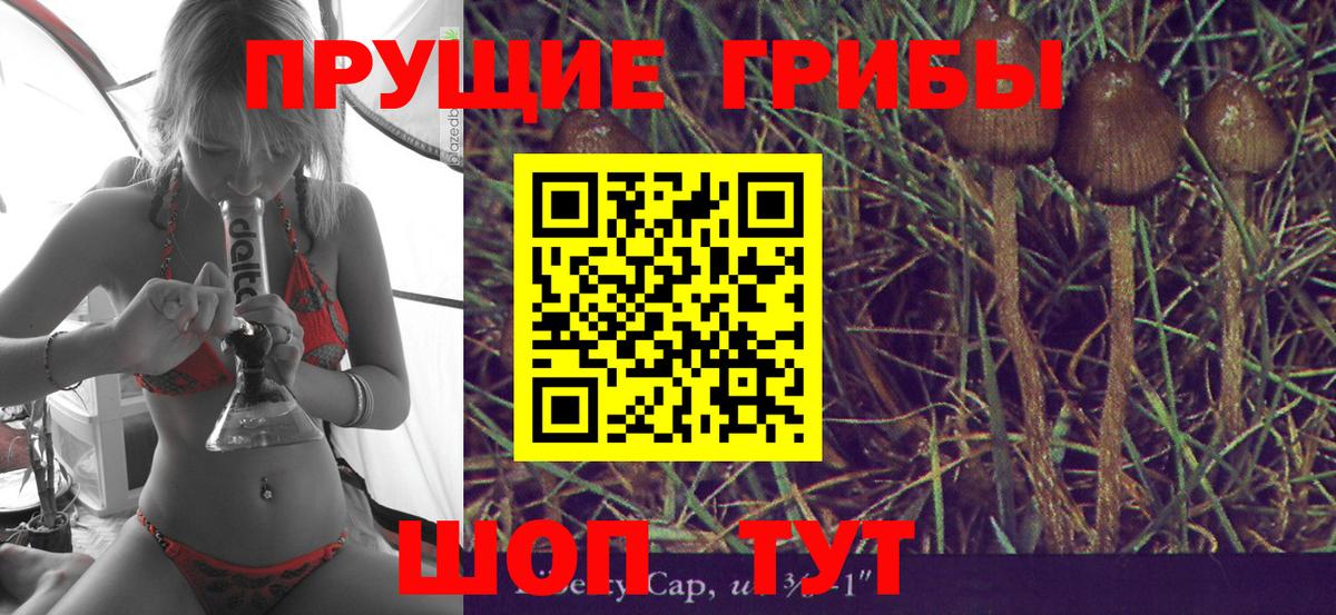 Галлюциногенные грибы GOLDEN TEACHER  Вход с VPN  Галлюциногенные грибы ЛСД  Сунжа 